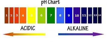 Alkalinity