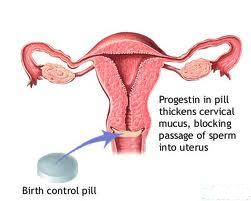 How Does A Birth Control Pill Work