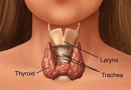 Hypothyroidism