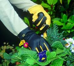 Gardening Gloves