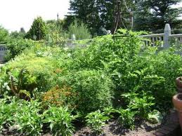 Herb Gardening