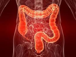 How to Colon Cleanse