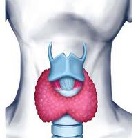 Hyperthyroidism