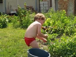 Kids Enjoy Home Gardening