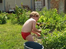 Kids Enjoy Home Gardening