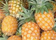 Benefits and Uses of Pineapples