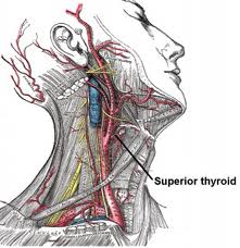 Plummer's Disease