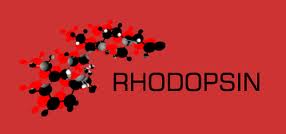 Rhodopsin