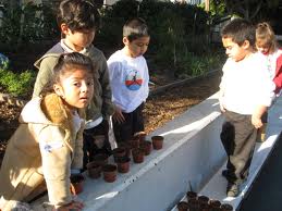 Science Through Gardening