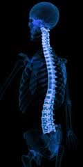 Spinal Curvature