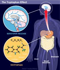 Sleep-Inducing With Tryptophan