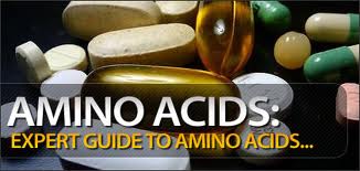Facts About Amino Acids