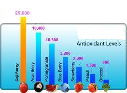 Amazing Antioxidant in Goji Berries
