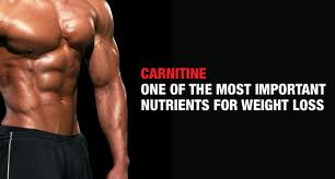 Carnitine Benefits - Functions in The Body