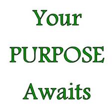 Define Your Purpose