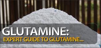 Glutamine and Glutamic Acid Information
