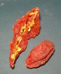 Goji Berry Seeds