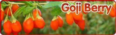 Benefits of Goji Juice