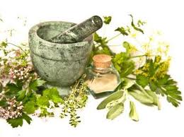 Herbal Medicines and Remedies History