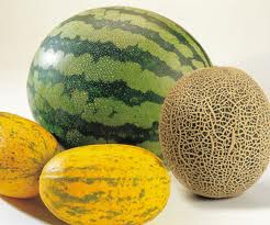 Benefits and Uses of Melon