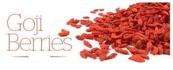 Wholesale Goji Berries